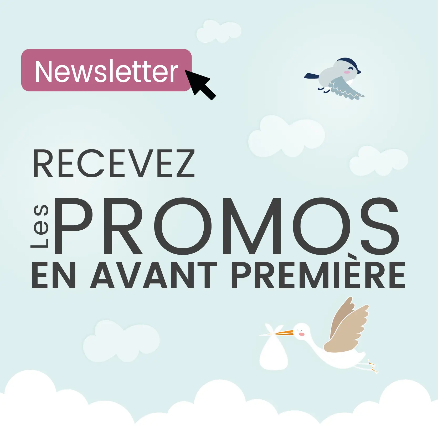 Inscription Newsletter BBIES - 800x800