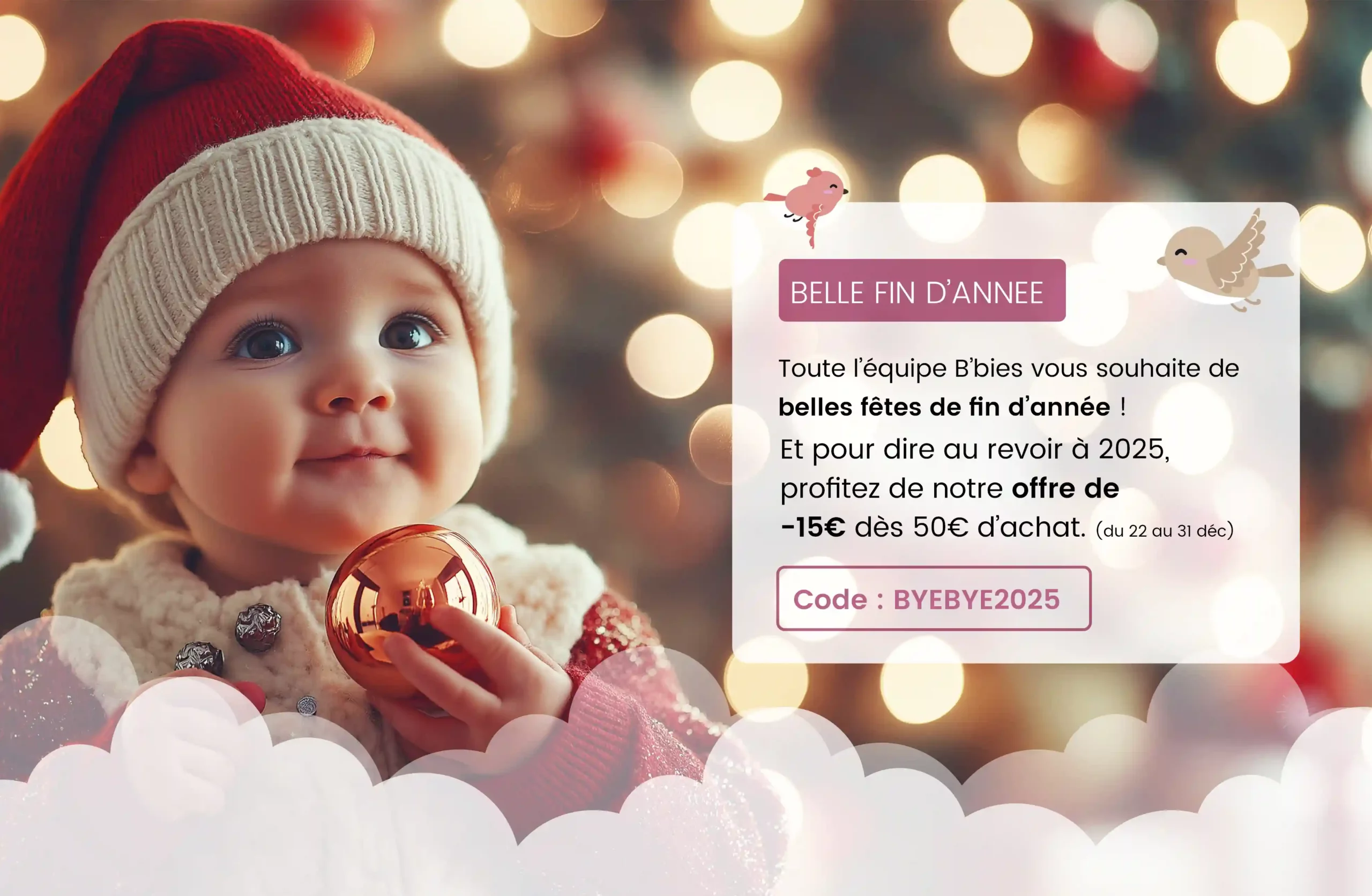 header-Z1 - Byebye 2025 - BBIES (1)